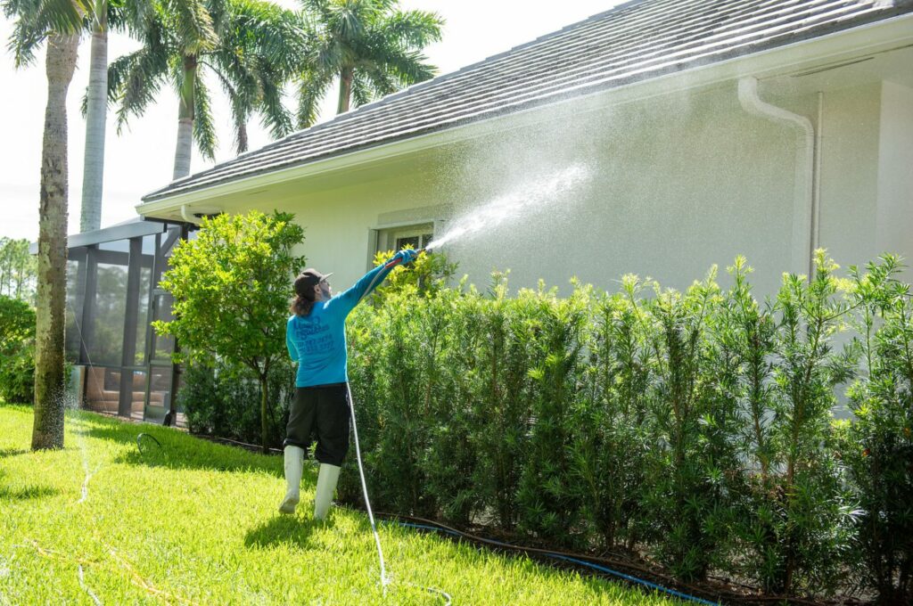 spring cleaning house