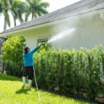 spring cleaning house